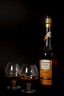 蘋果白蘭地 節(jié)日酒吧中的精致酒精飲料